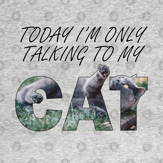 Today I'm only talking to my cat - grey cat oil painting word art by DawnDesignsWordArt